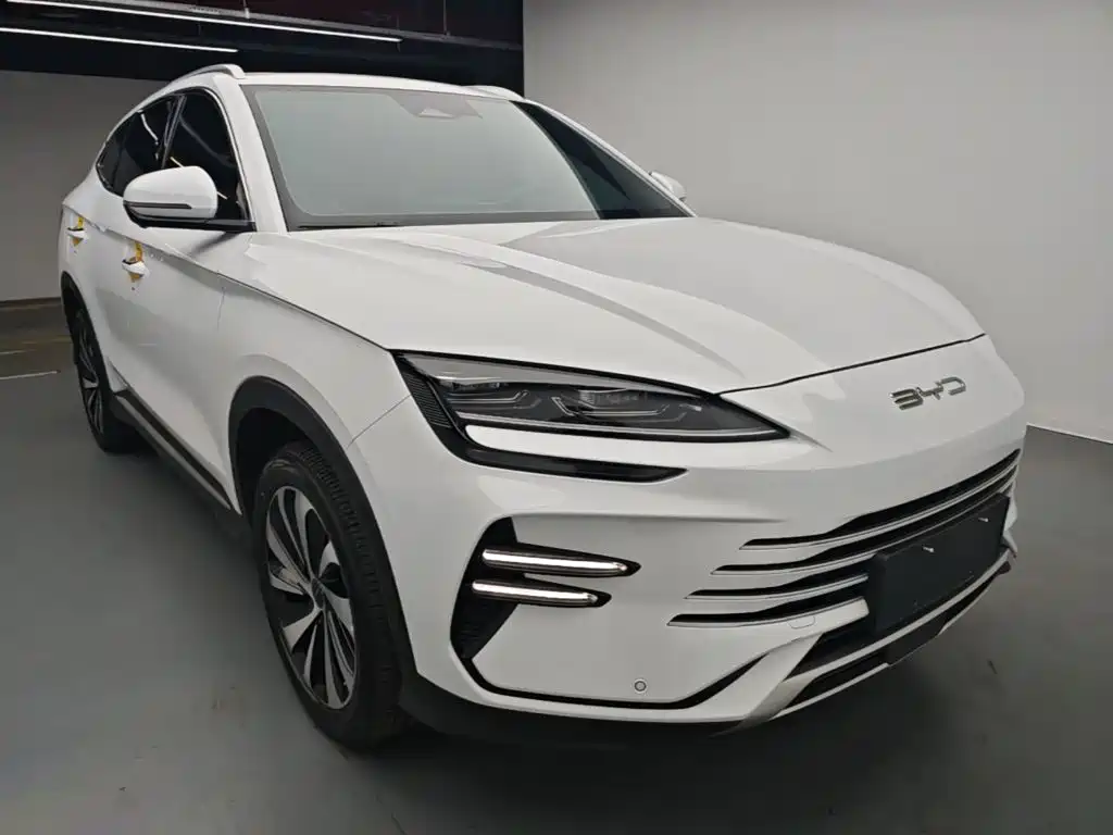 BYD PLUS New Energy — фото 4
