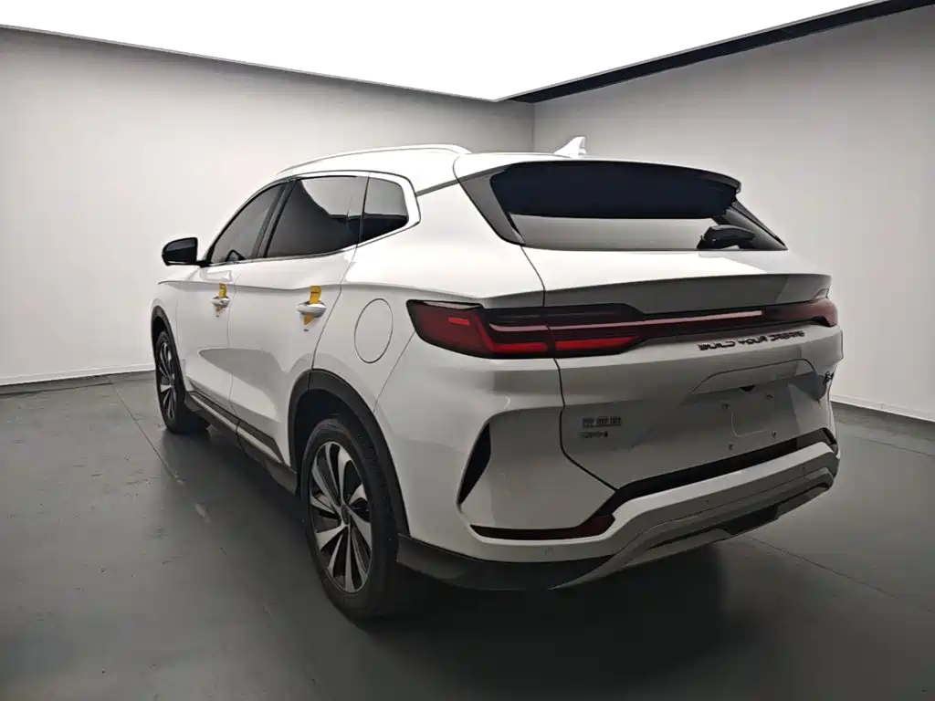 BYD PLUS New Energy — фото 5