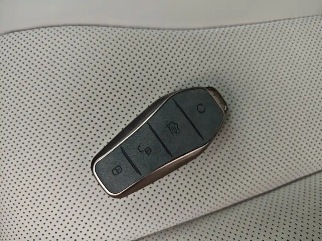 BYD PLUS New Energy — фото 9