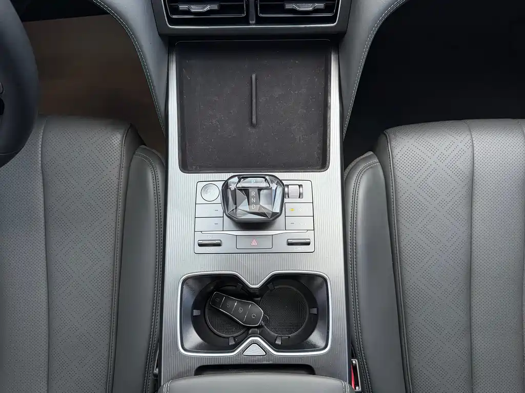 BYD L DM-i — фото 15