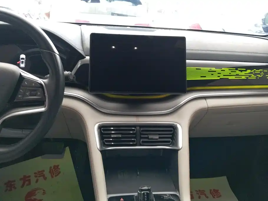 BYD PLUS New Energy — фото 13
