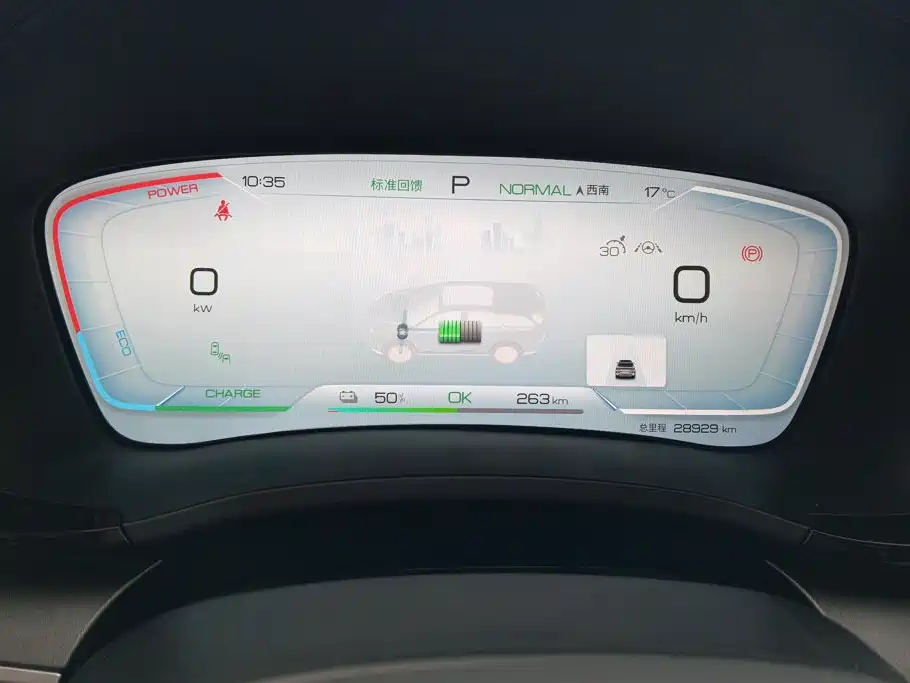 BYD PLUS New Energy — фото 14