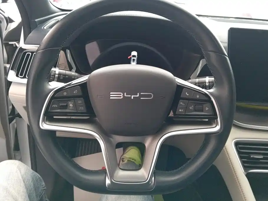 BYD PLUS New Energy — фото 15