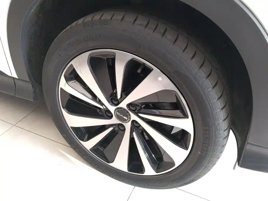 BYD PLUS New Energy — фото 6