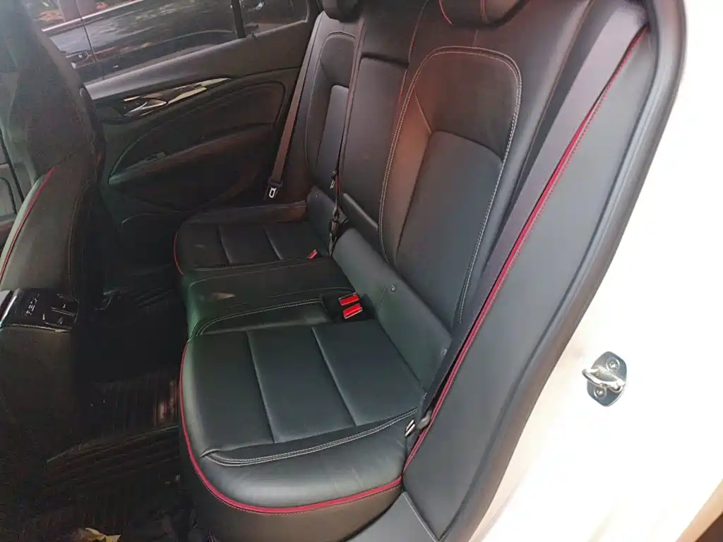 Buick Regal — фото 18