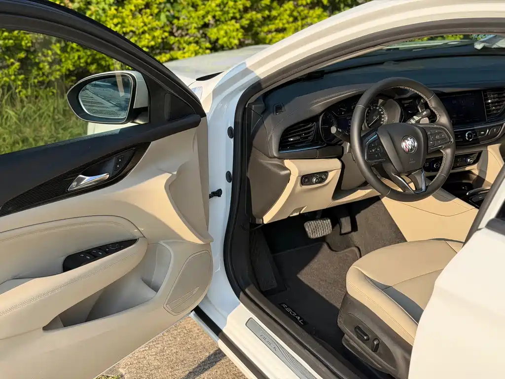 Buick Regal — фото 10