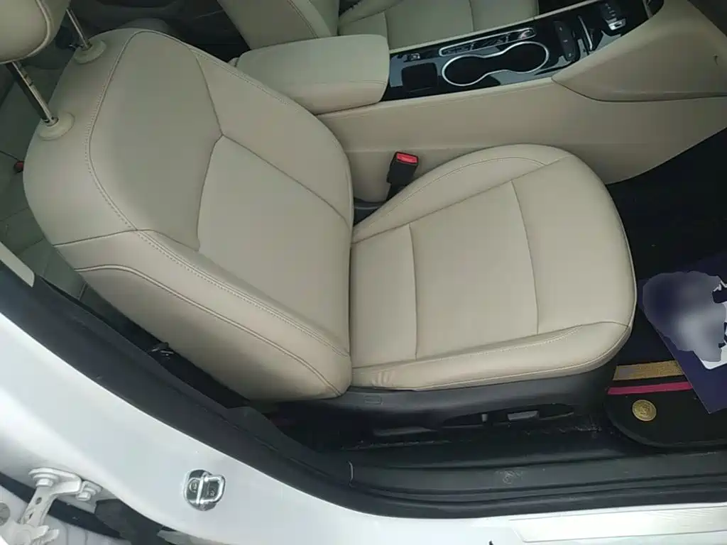 Buick Regal — фото 25