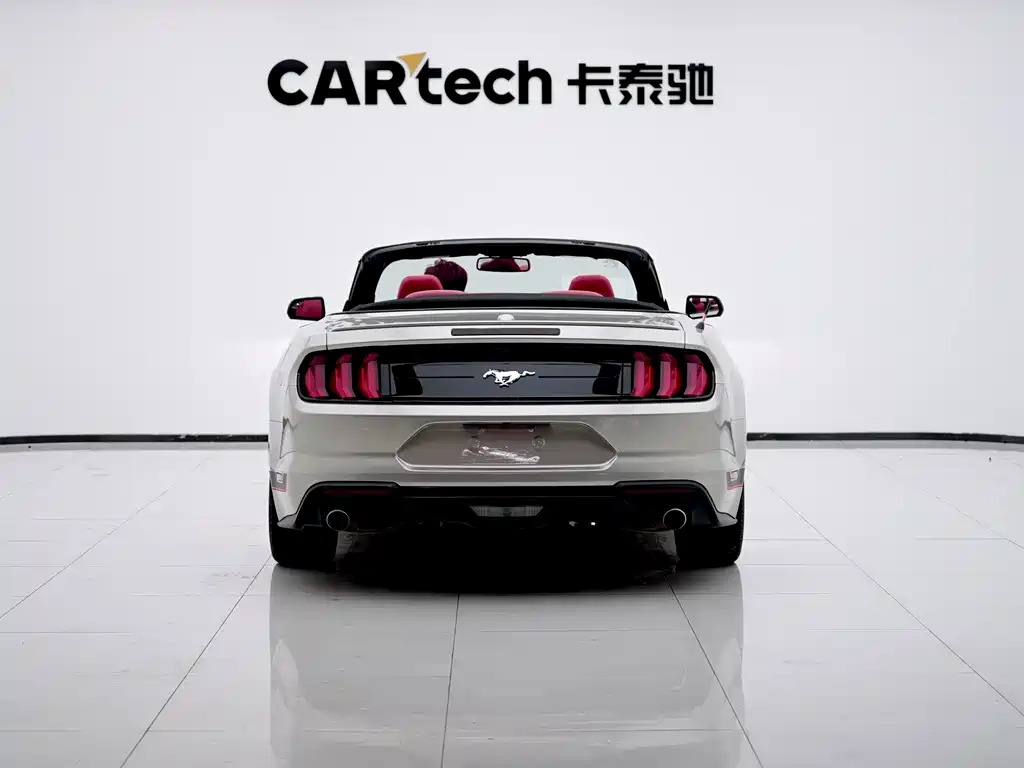 Ford Mustang — фото 13