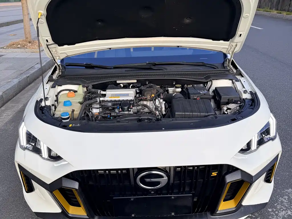 GAC Motor Shadow Leopard — фото 18