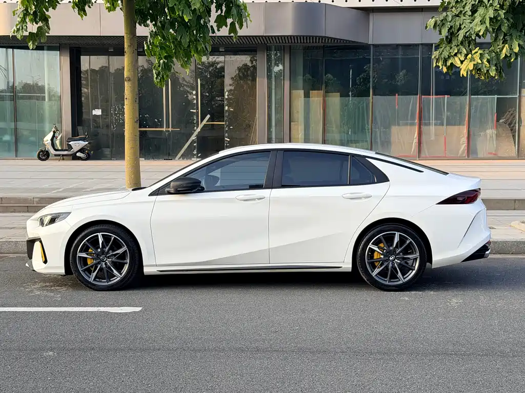 GAC Motor Shadow Leopard — фото 19
