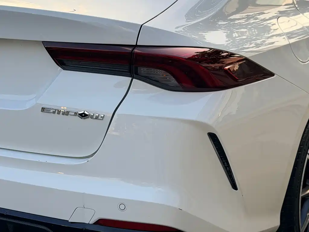 GAC Motor Shadow Leopard — фото 21