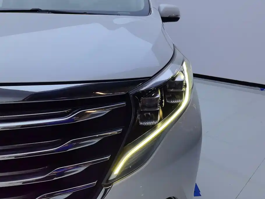 GAC Motor Trumpchi M8 — фото 5