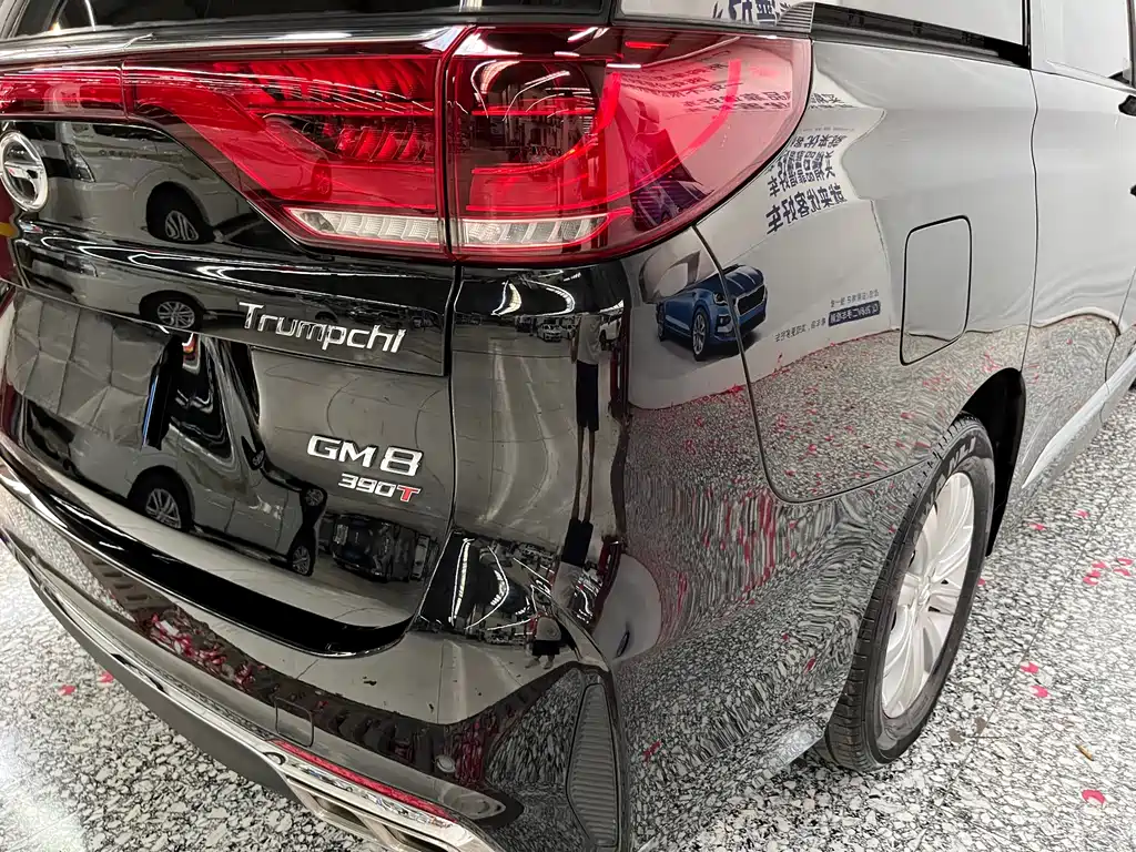 GAC Motor Trumpchi M8 — фото 20