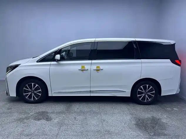 GAC Motor Trumpchi M8 — фото 3