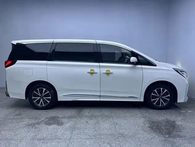 GAC Motor Trumpchi M8 — фото 6