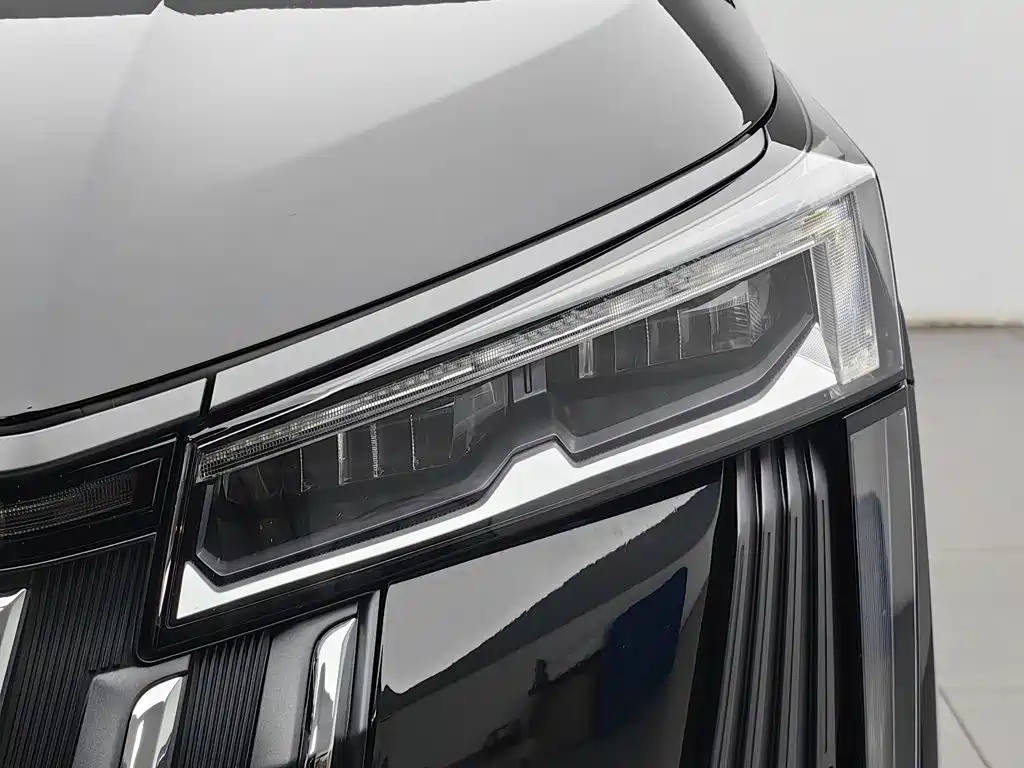 GAC Motor Trumpchi M8 — фото 7