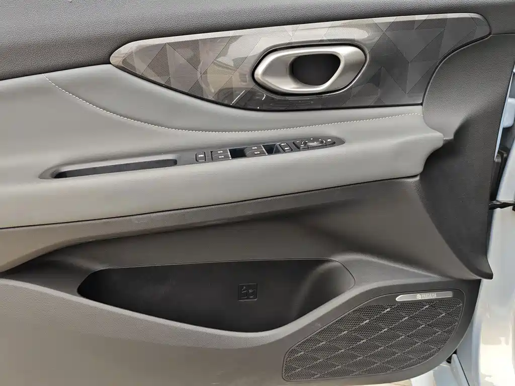 GAC Motor Shadow Leopard — фото 11