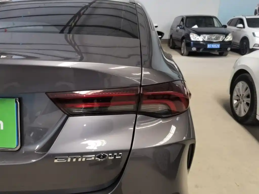 GAC Motor Shadow Leopard — фото 8