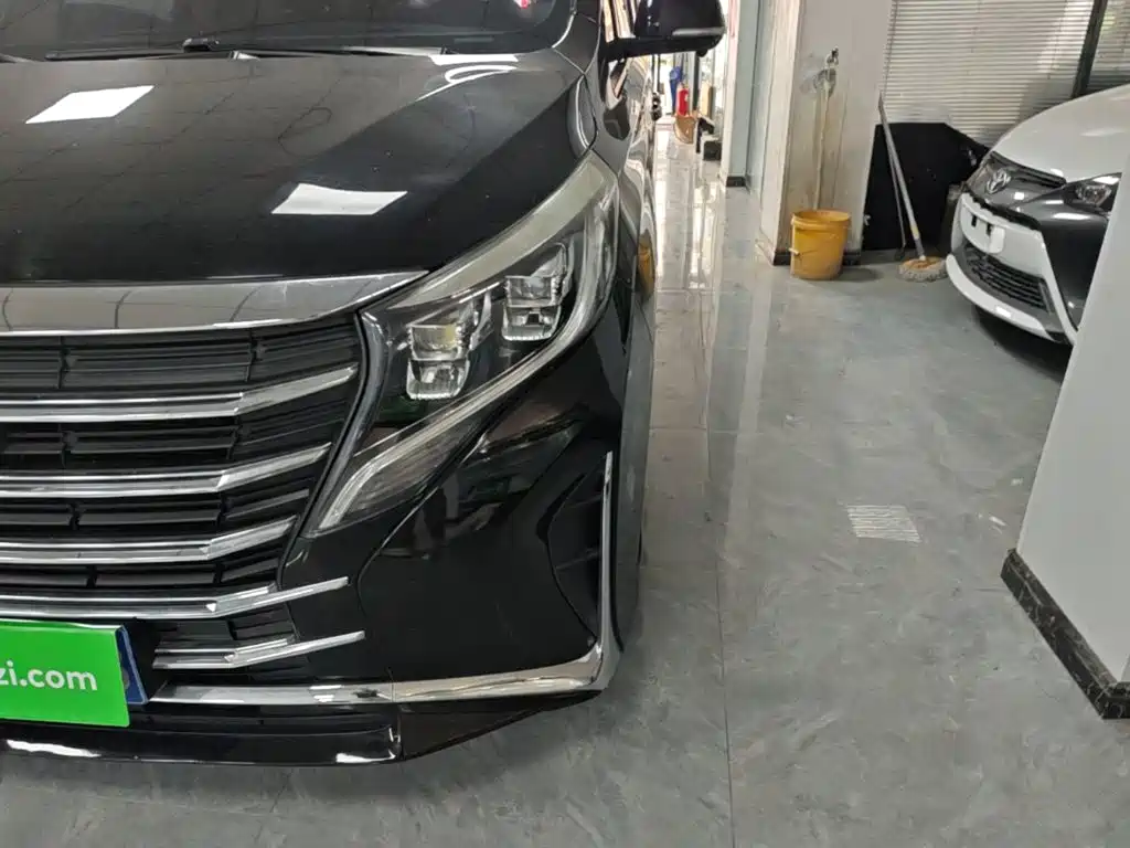 GAC Motor Trumpchi M8 — фото 24