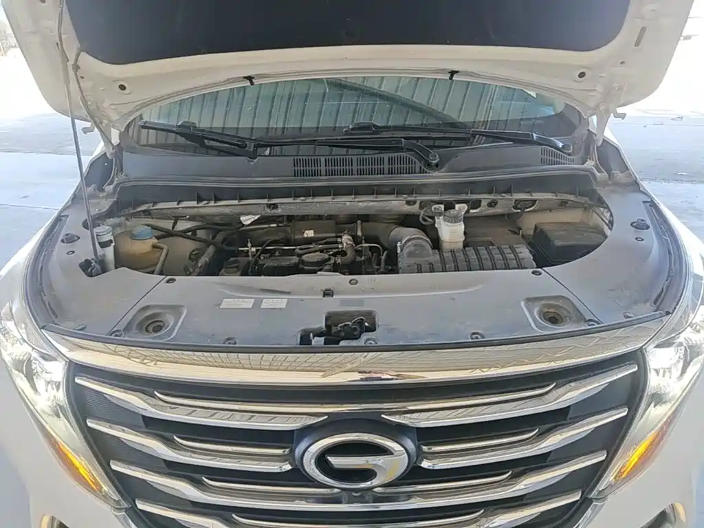GAC Motor Trumpchi M8 — фото 20