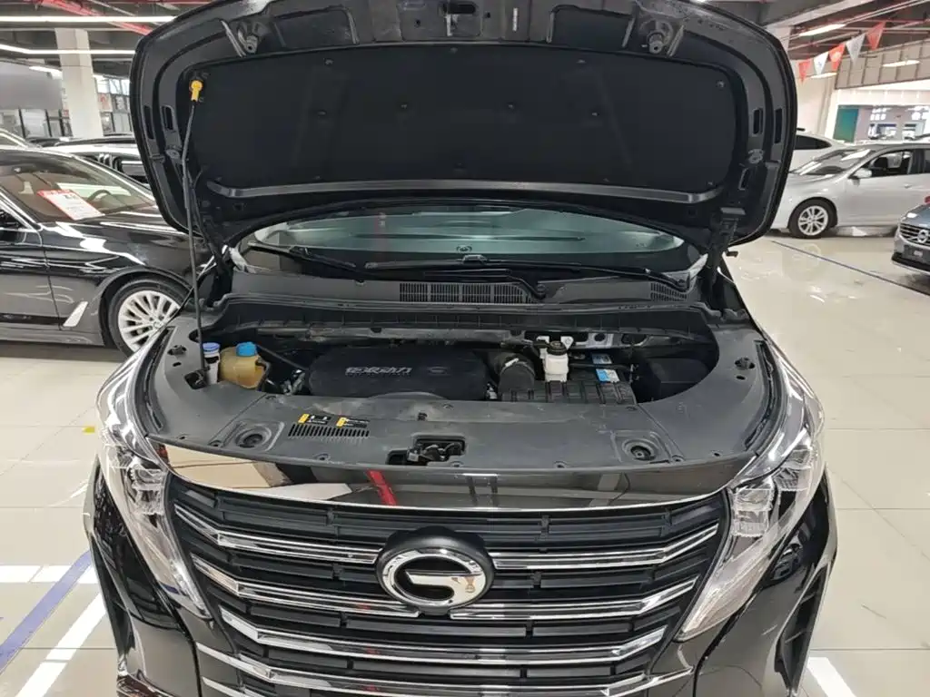 GAC Motor Trumpchi M8 — фото 20