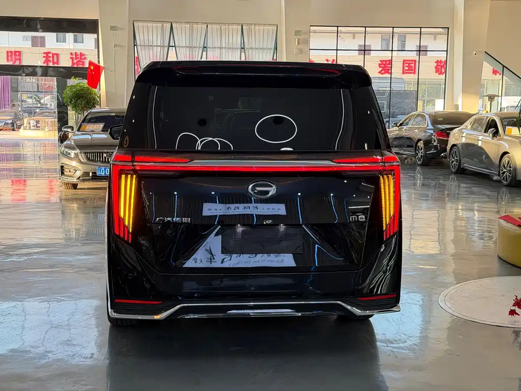 GAC Motor Trumpchi M8 — фото 10