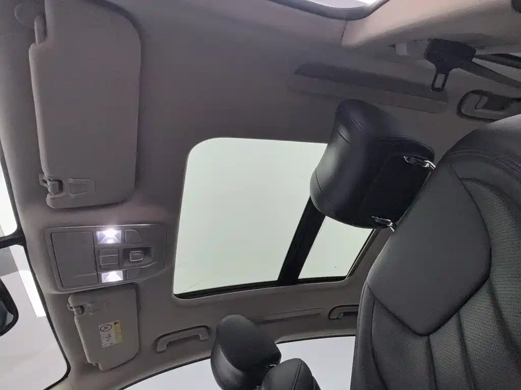 Geely Borui — фото 14