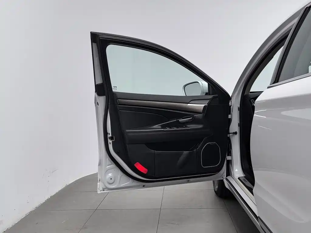 Geely Borui — фото 8