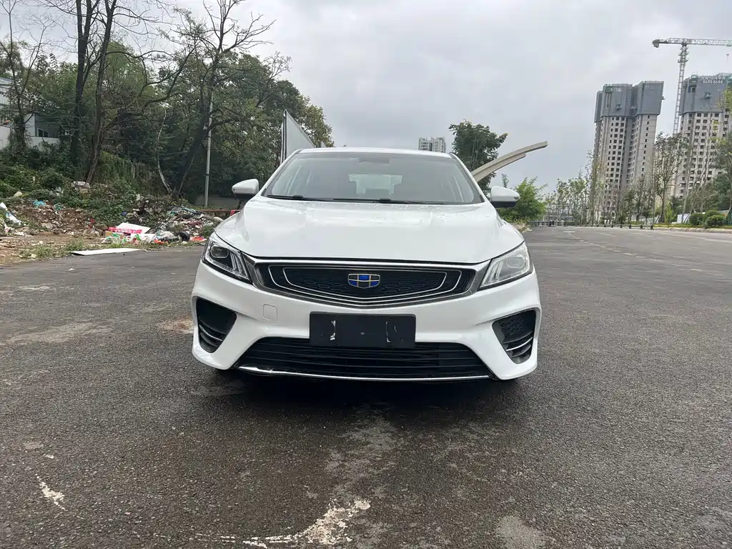 Geely Binrui