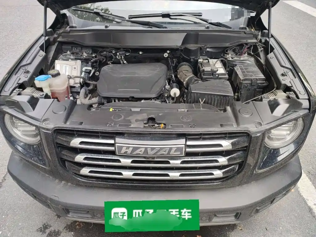Haval Big Dog — фото 16