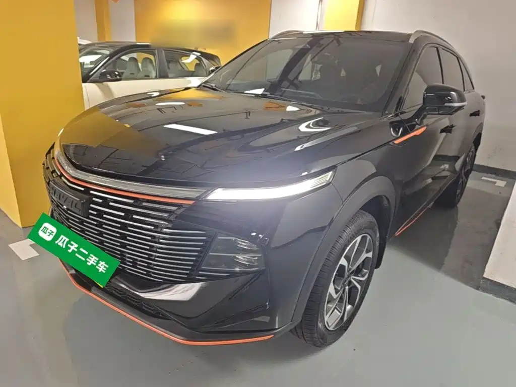 Haval Shenshou