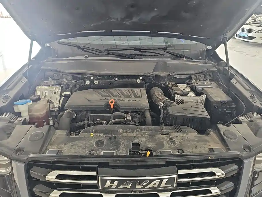 Haval Big Dog — фото 10