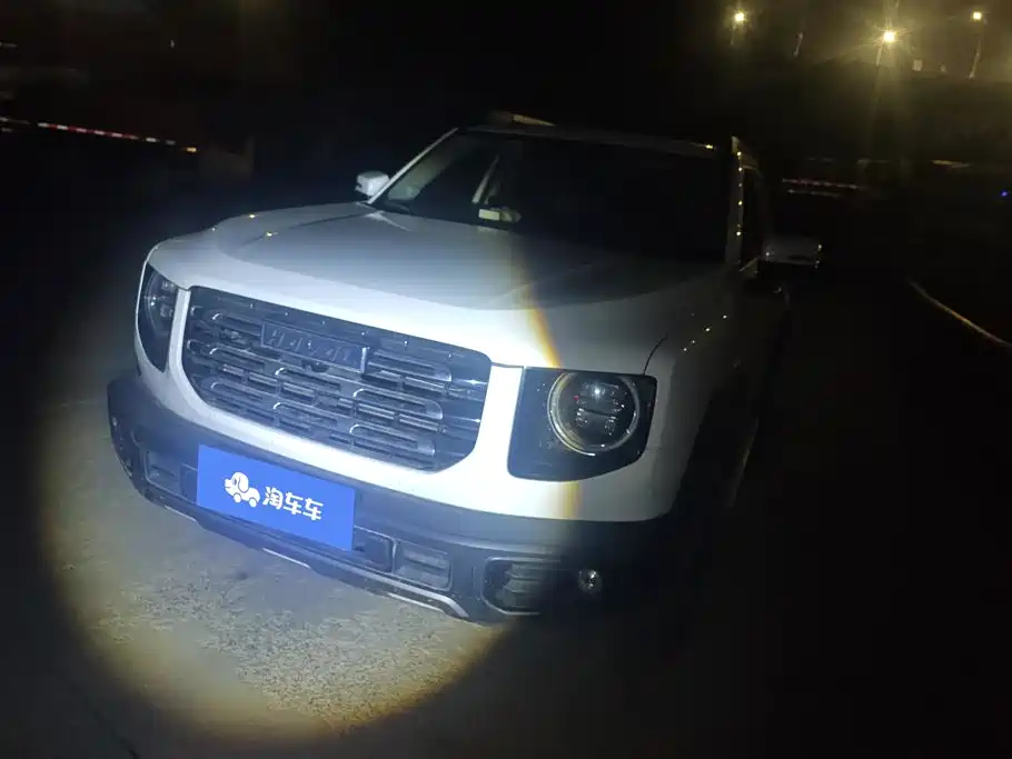 Haval Big Dog