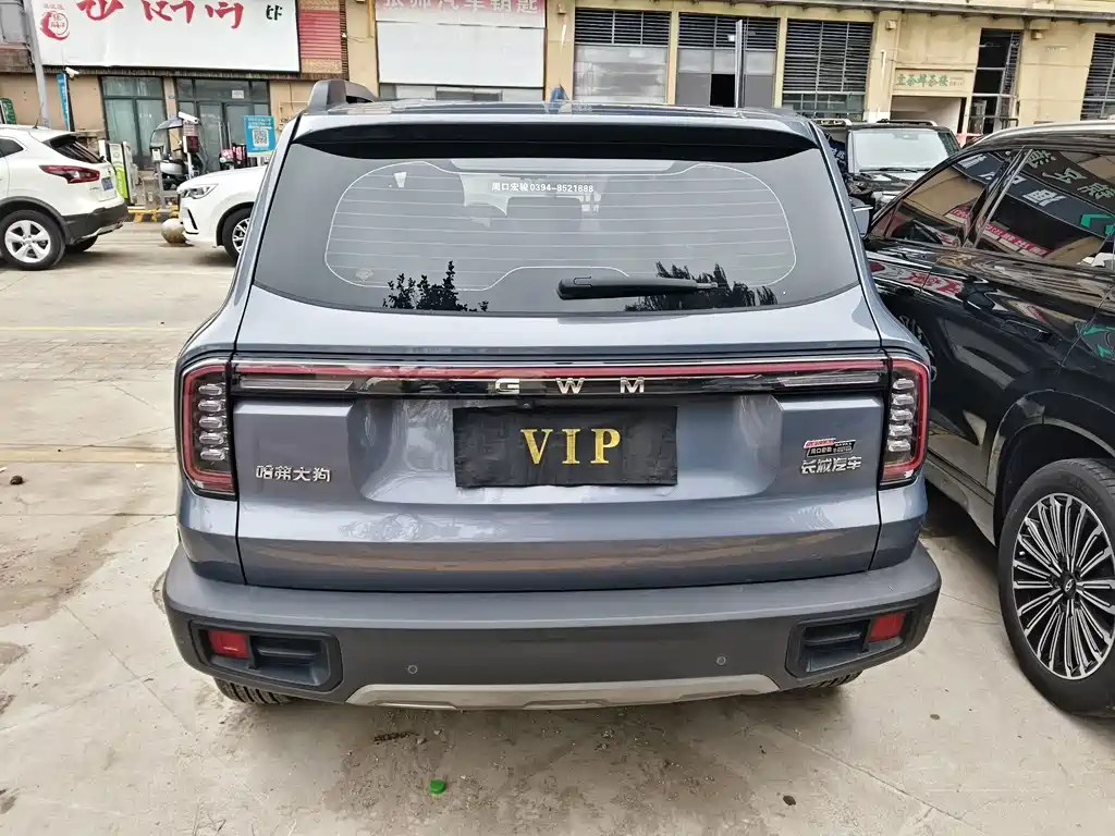 Haval Big Dog — фото 15