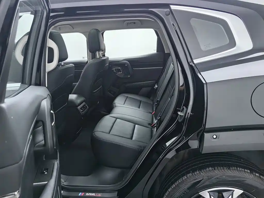 Haval Big Dog PLUS — фото 15