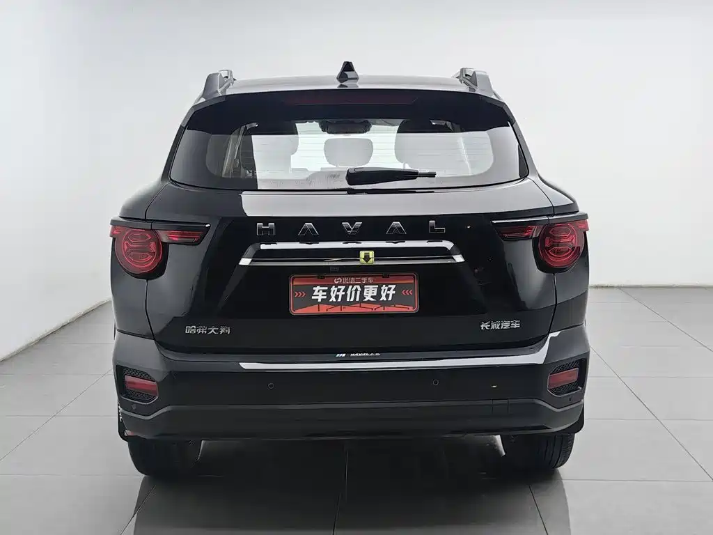 Haval Big Dog PLUS — фото 4