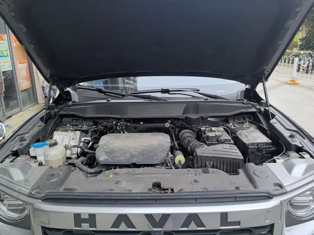 Haval Big Dog — фото 20