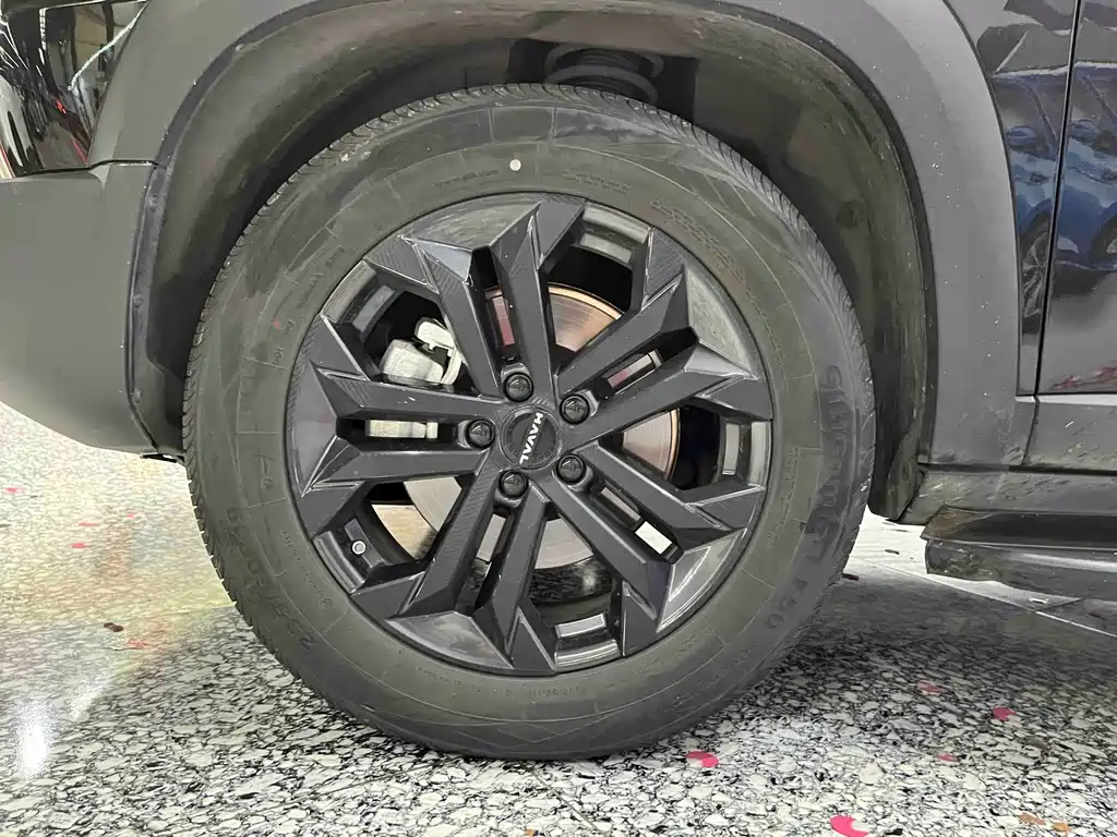 Haval Big Dog — фото 15