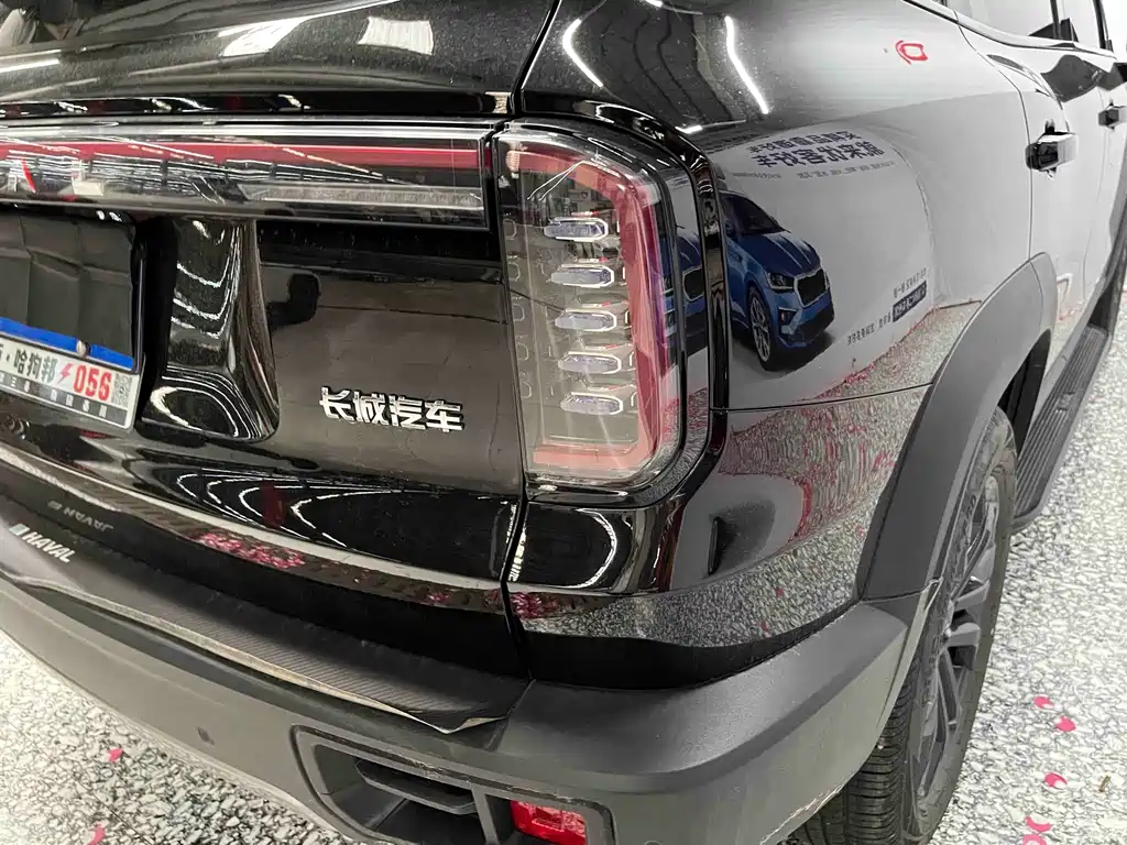 Haval Big Dog — фото 19