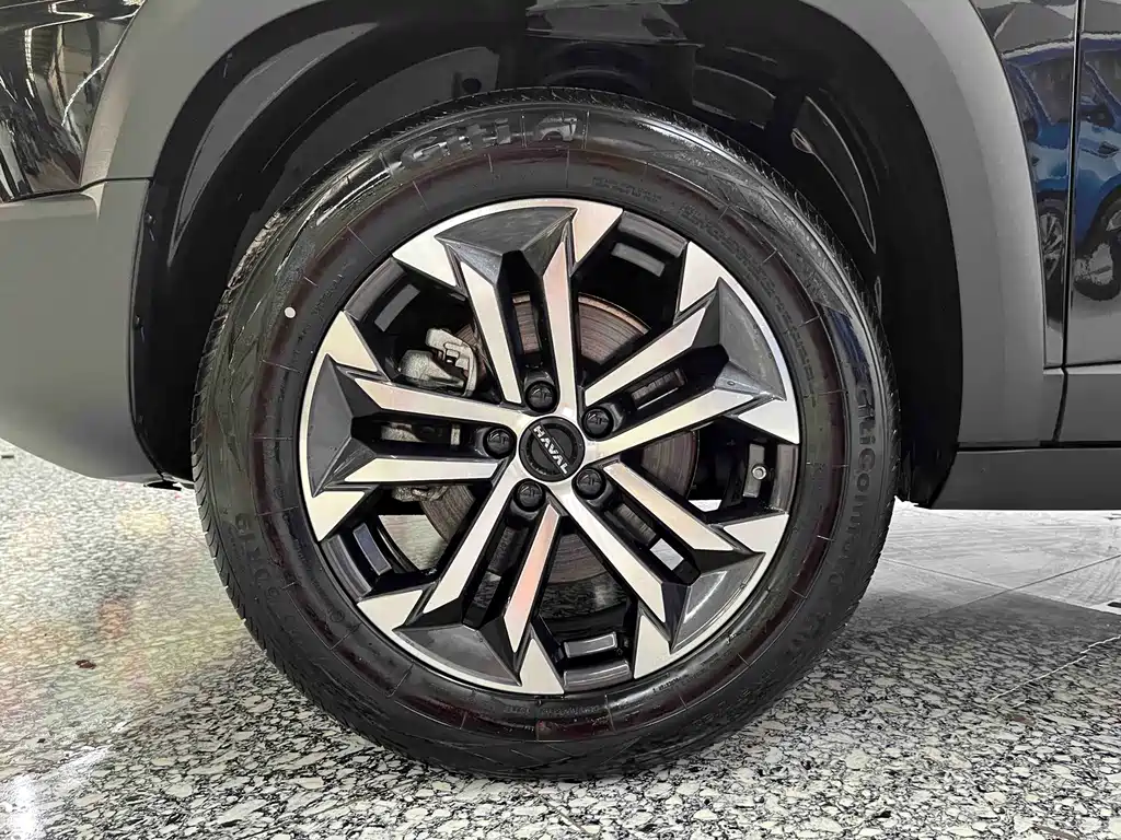 Haval Big Dog — фото 15