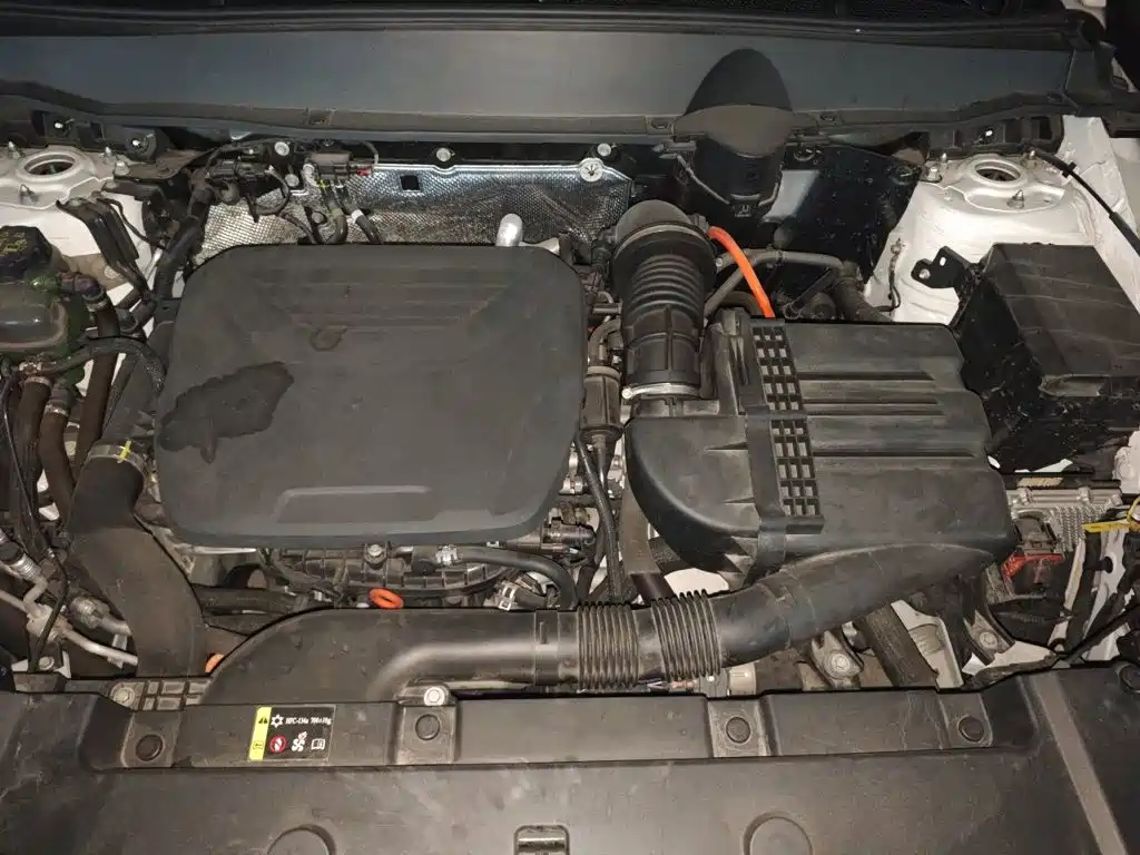 Haval Big Dog PLUS New Energy — фото 11