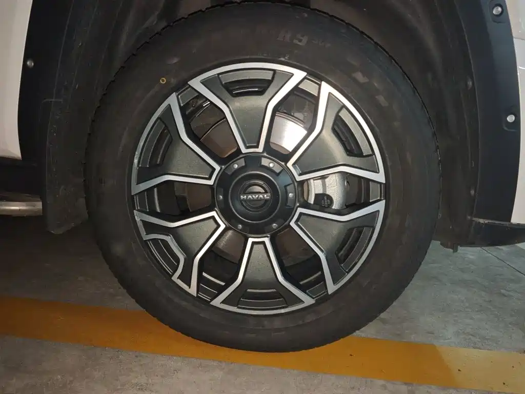 Haval Big Dog PLUS New Energy — фото 23