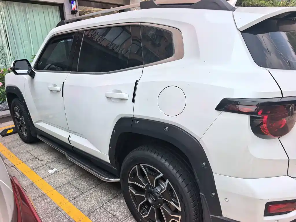Haval Big Dog PLUS New Energy — фото 24