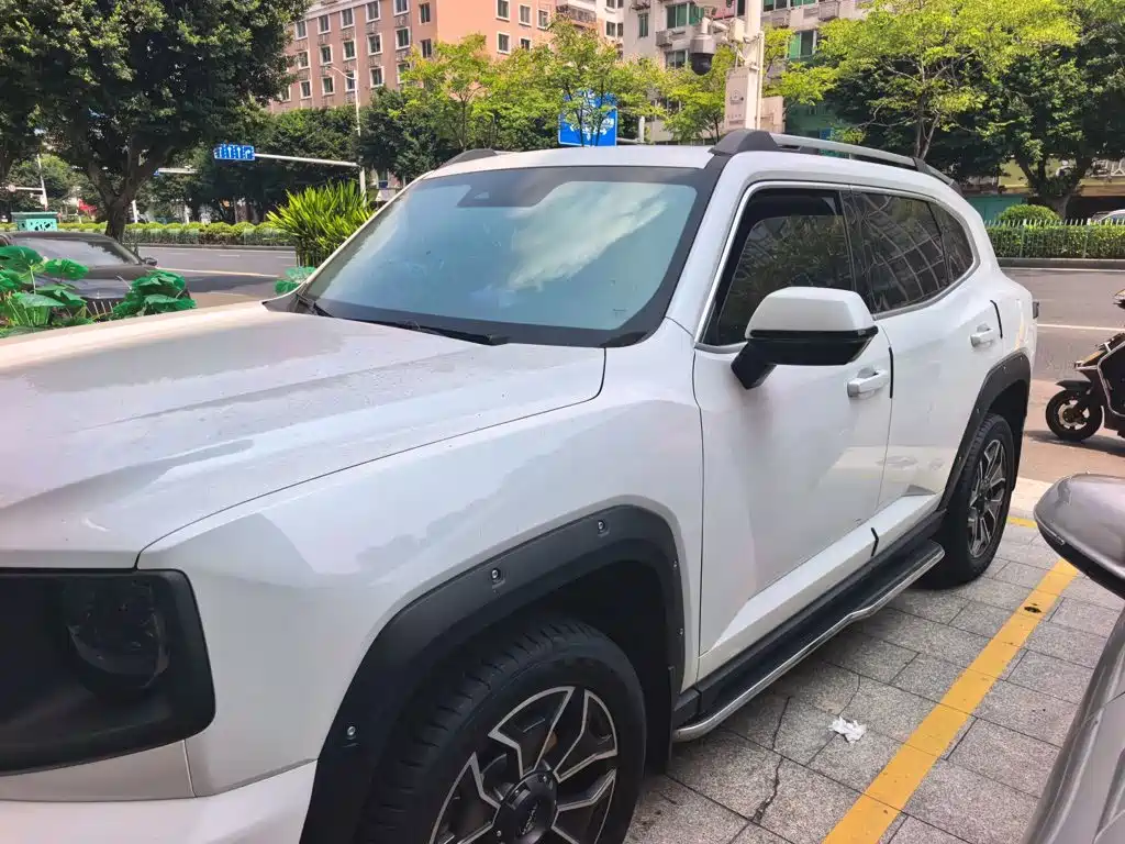 Haval Big Dog PLUS New Energy — фото 25