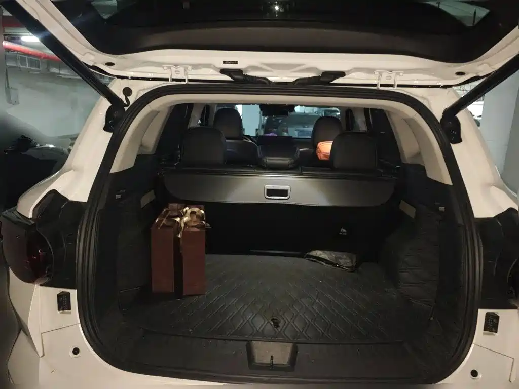 Haval Big Dog PLUS New Energy — фото 10