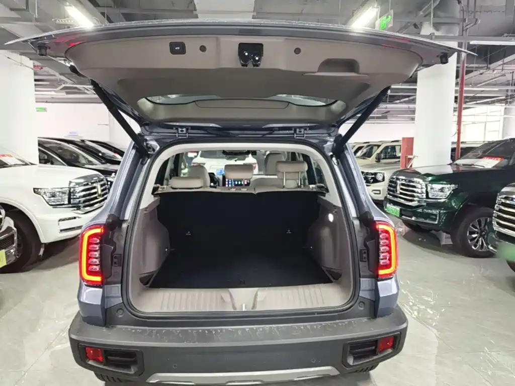 Haval Big Dog — фото 19