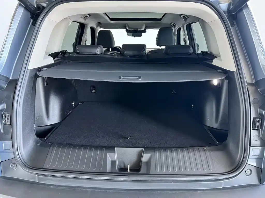Haval Big Dog — фото 17