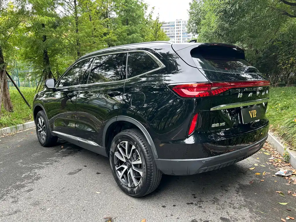 Haval H6 — фото 4