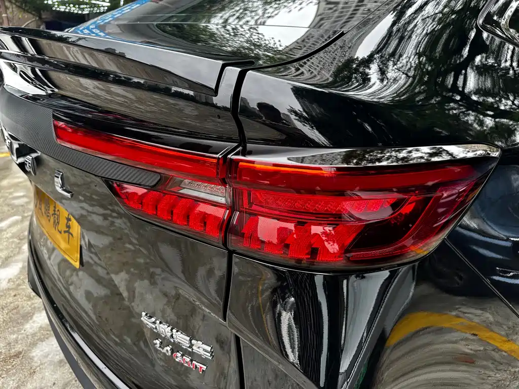 Haval H6S — фото 18