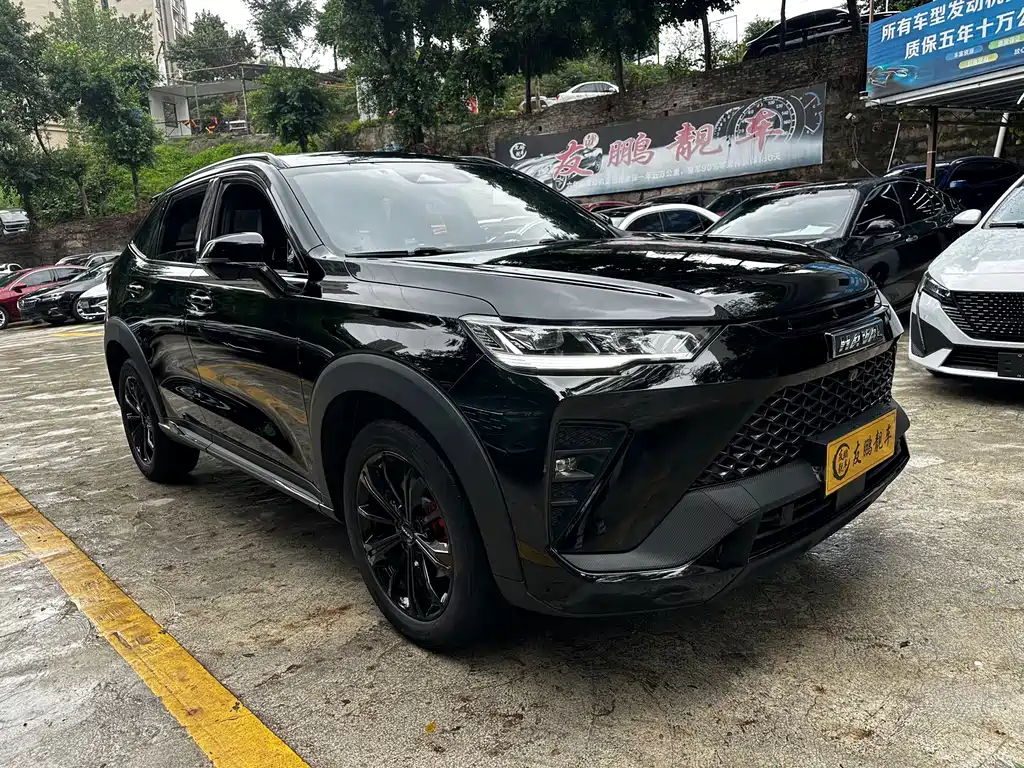 Haval H6S — фото 3